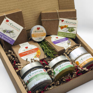 Family Ecopack in a recycled cardboard box.